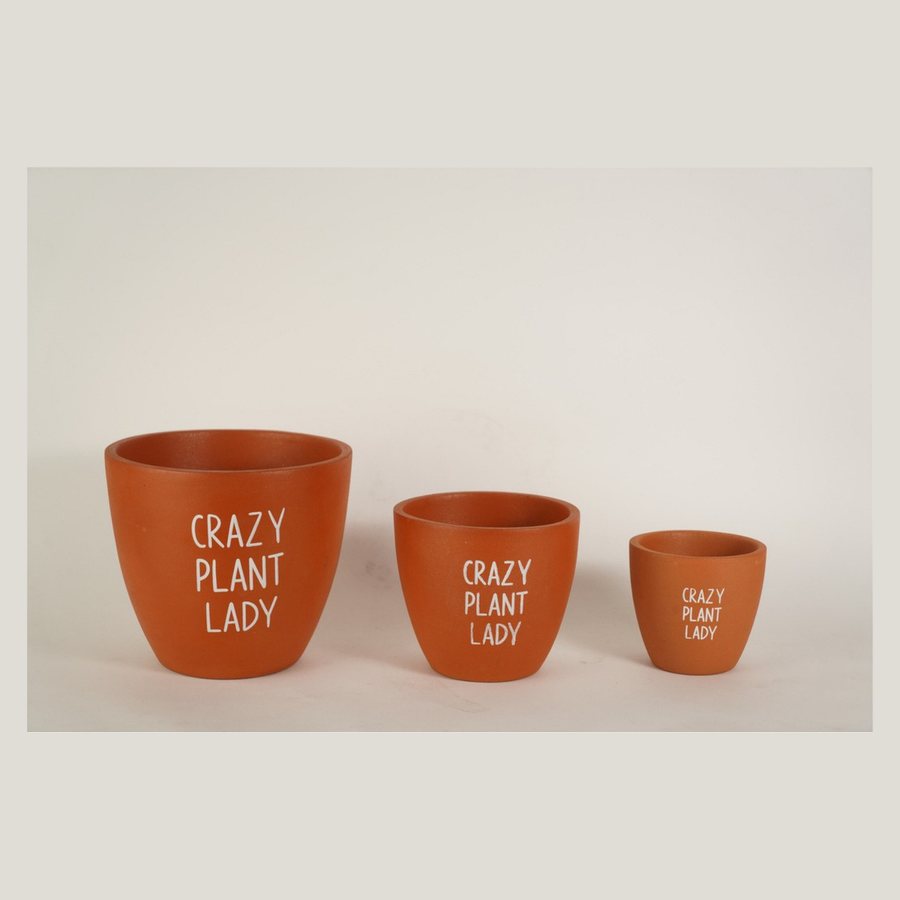 Slogan Print Planter — Terracotta · natural, hand-painted lettering · text / colour