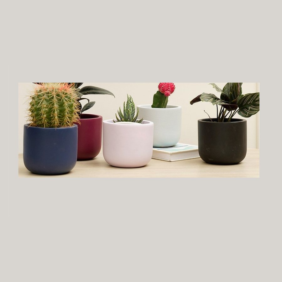 Colour-Dipped Cachepot — Terracotta · matte painted · colour