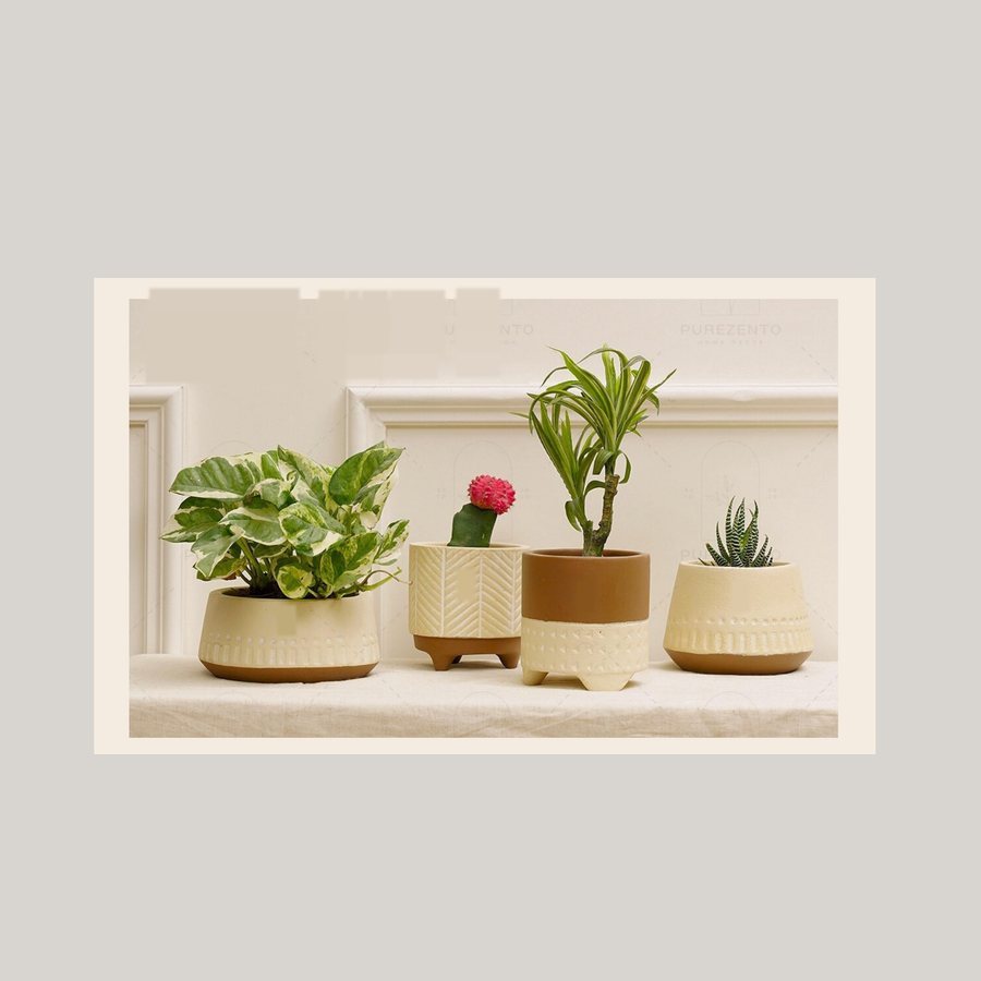Painted Planter, Set of Four — Terracotta · matte painted · colour